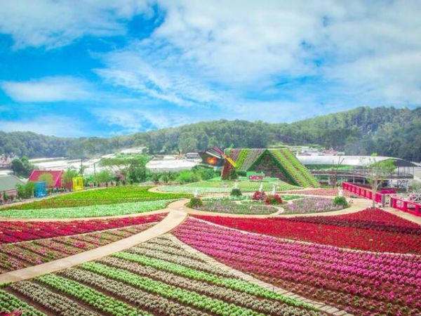 Van Thanh Flower Village Dalat